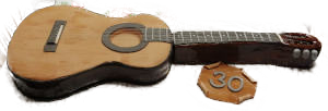kytara-dort